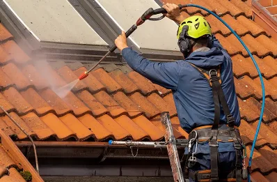 Démoussage et hydrofuge de toiture à Leyvaux